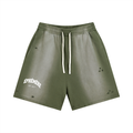 Sun Fade Distressed Shorts